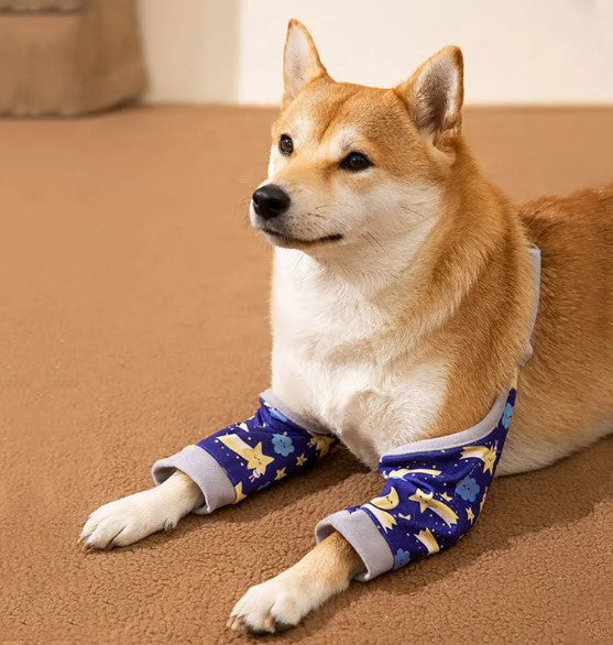 Genouillère de protection pour chiens