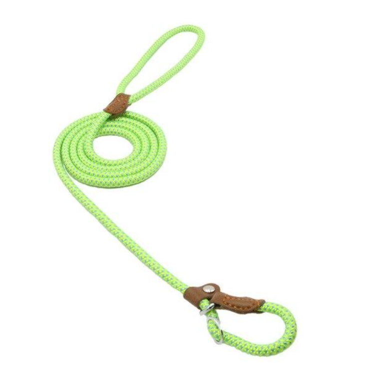 Nylon-Welpen-Set