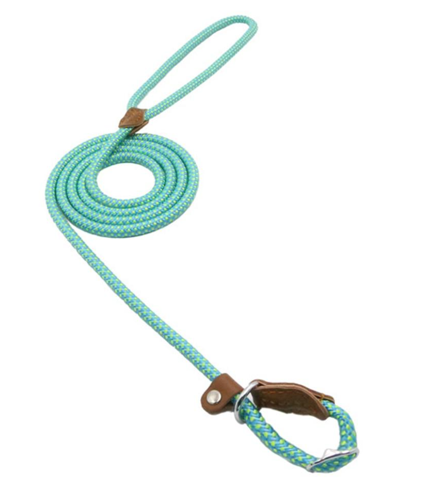 Nylon-Welpen-Set