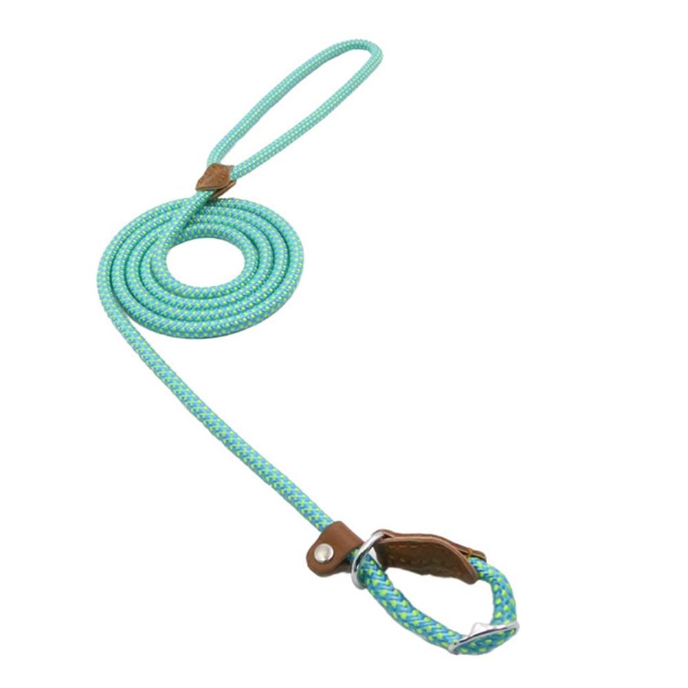Nylon-Welpen-Set