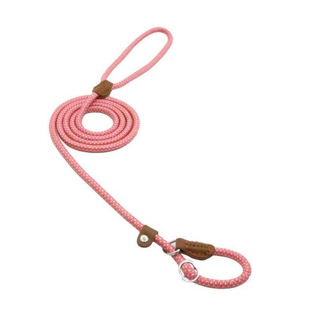 Nylon-Welpen-Set