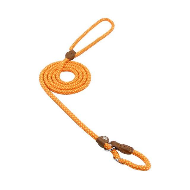Nylon-Welpen-Set