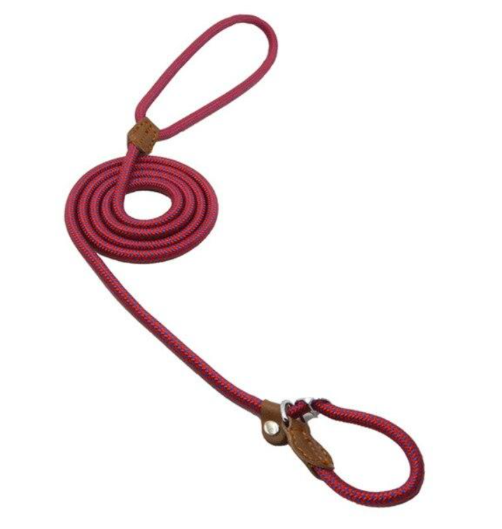 Nylon-Welpen-Set