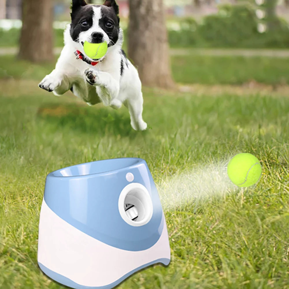 Lanceur de balles de tennis automatique
