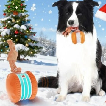Jouet Interactif pour Animaux de Compagnie Balle Roulante Rechargeable USB