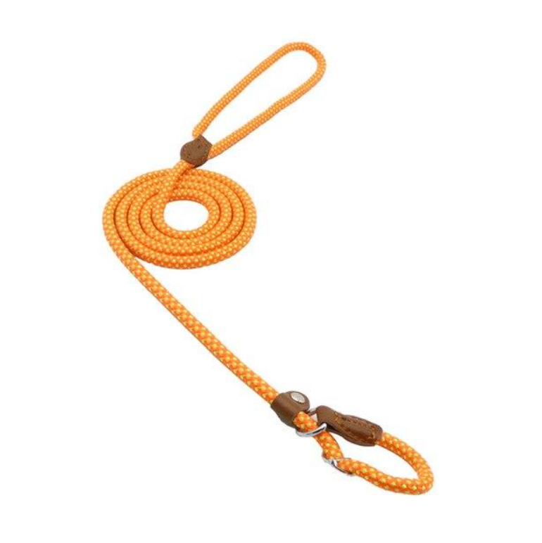 Nylon-Welpen-Set