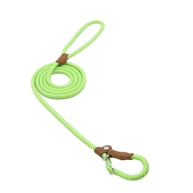 Nylon-Welpen-Set