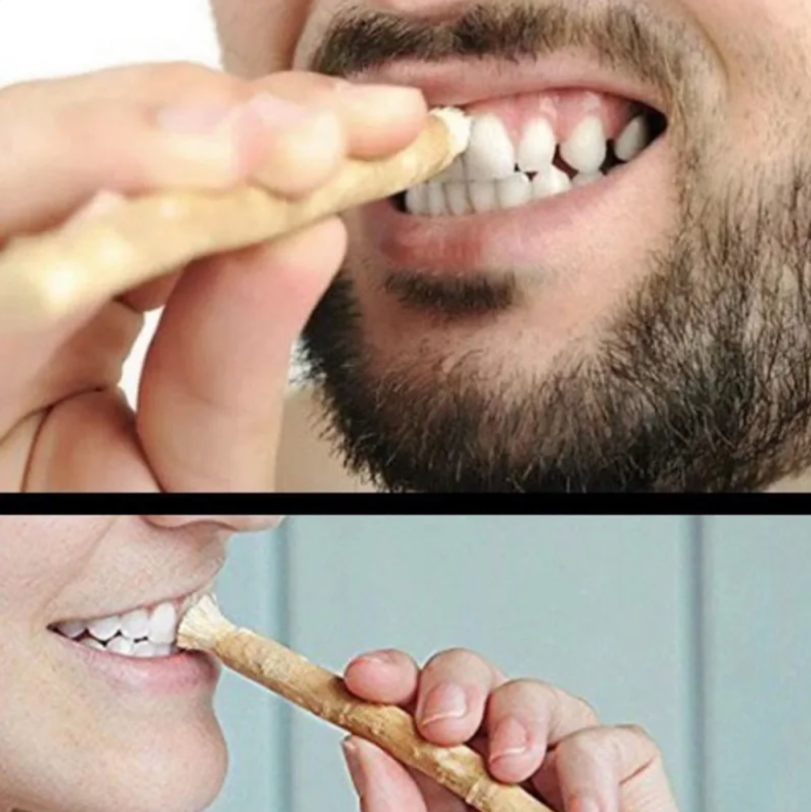 Bâton de nettoyage dentaire miswak