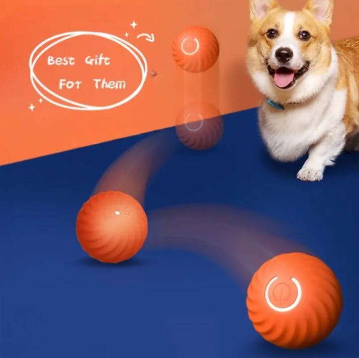 Haustier Hund Gummi Ball Spielzeug Für Hunde