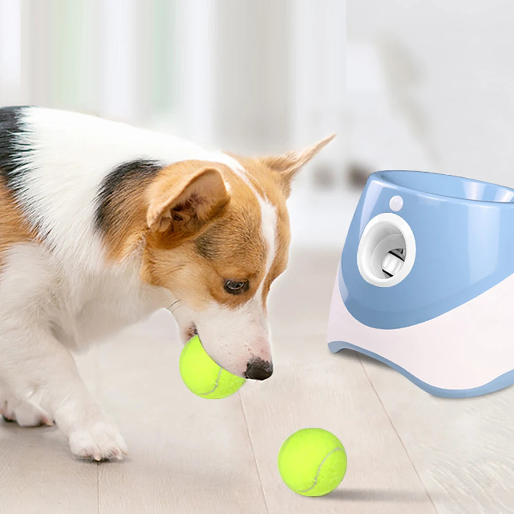 Lanceur de balles de tennis automatique