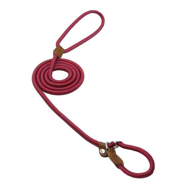 Nylon-Welpen-Set